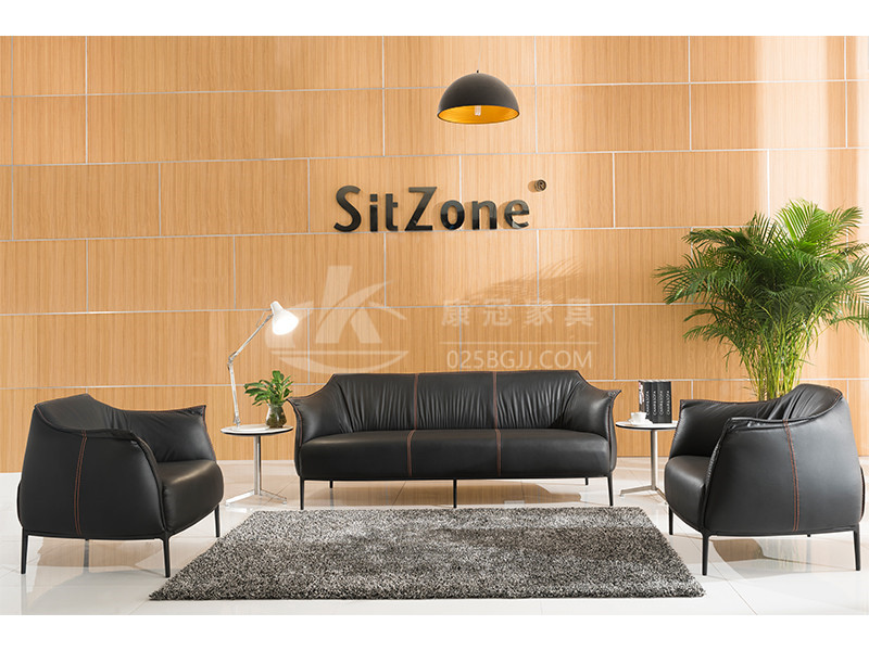 辦(ban)公(gong)沙髮(fa)-18